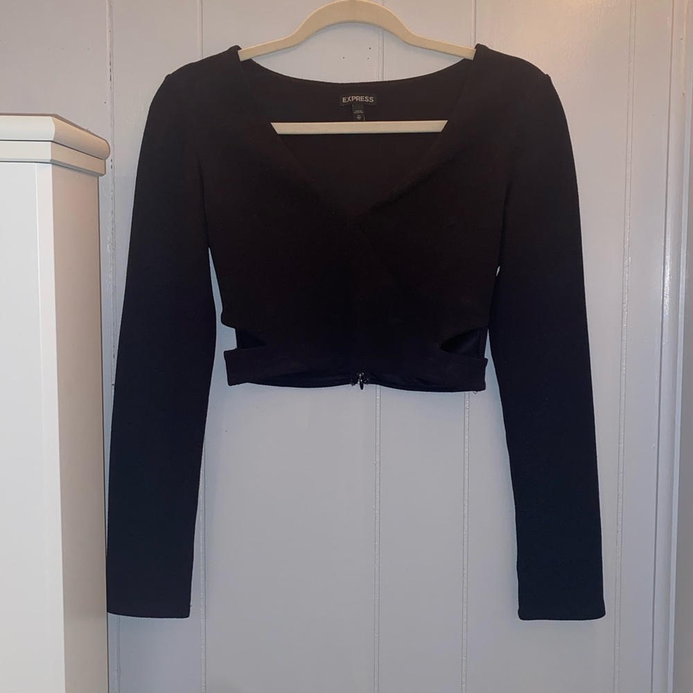 Express Long Sleeve Cropped Top